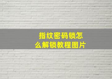 指纹密码锁怎么解锁教程图片