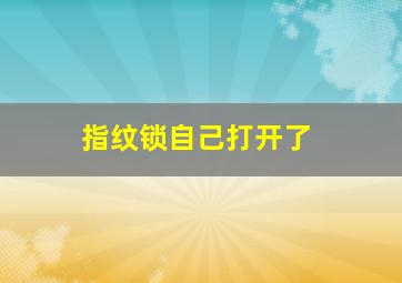 指纹锁自己打开了