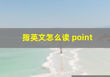 指英文怎么读 point