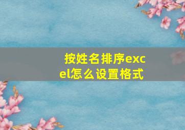 按姓名排序excel怎么设置格式