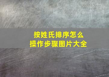 按姓氏排序怎么操作步骤图片大全