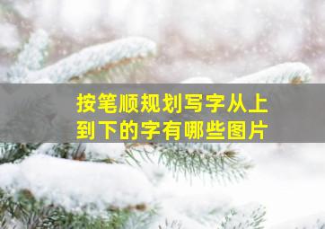 按笔顺规划写字从上到下的字有哪些图片