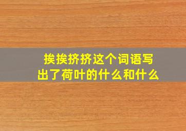 挨挨挤挤这个词语写出了荷叶的什么和什么