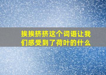 挨挨挤挤这个词语让我们感受到了荷叶的什么