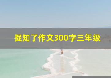 捉知了作文300字三年级