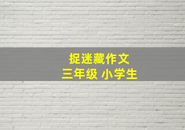 捉迷藏作文 三年级 小学生