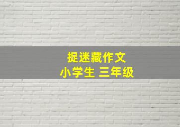 捉迷藏作文 小学生 三年级