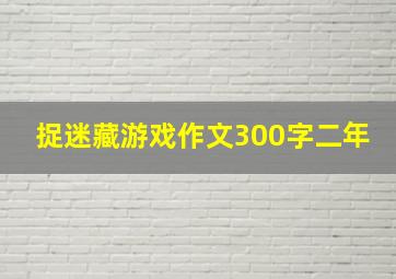 捉迷藏游戏作文300字二年