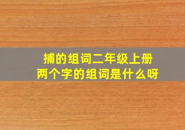 捕的组词二年级上册两个字的组词是什么呀