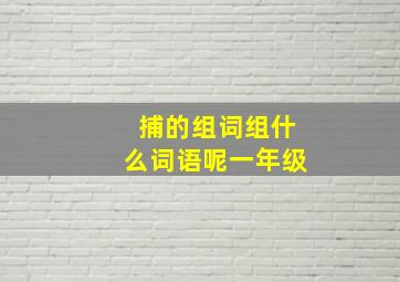 捕的组词组什么词语呢一年级