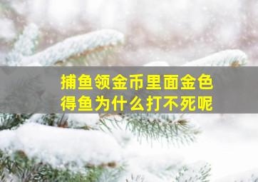 捕鱼领金币里面金色得鱼为什么打不死呢