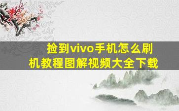 捡到vivo手机怎么刷机教程图解视频大全下载