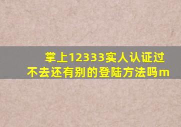 掌上12333实人认证过不去还有别的登陆方法吗m