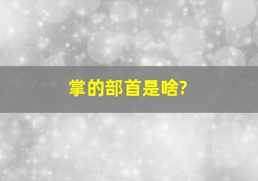 掌的部首是啥?