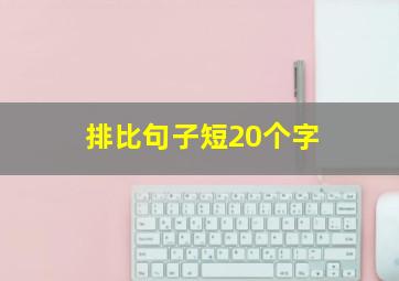 排比句子短20个字