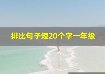 排比句子短20个字一年级