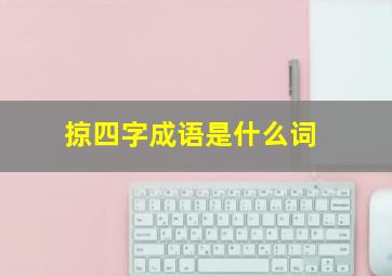 掠四字成语是什么词