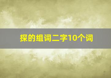 探的组词二字10个词