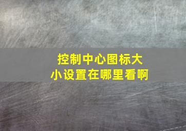 控制中心图标大小设置在哪里看啊