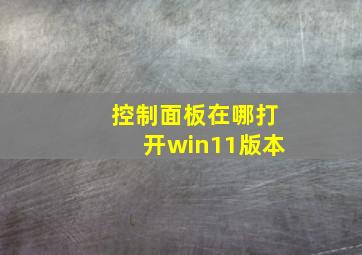 控制面板在哪打开win11版本