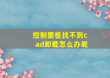 控制面板找不到cad卸载怎么办呢