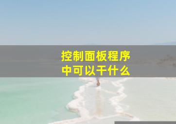 控制面板程序中可以干什么