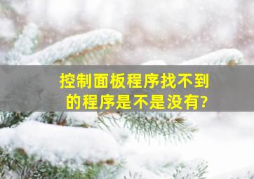 控制面板程序找不到的程序是不是没有?