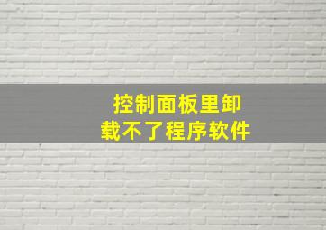 控制面板里卸载不了程序软件