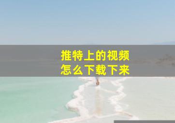 推特上的视频怎么下载下来