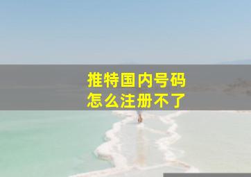 推特国内号码怎么注册不了