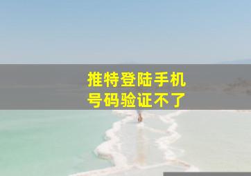 推特登陆手机号码验证不了