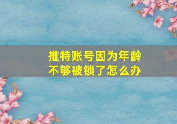 推特账号因为年龄不够被锁了怎么办