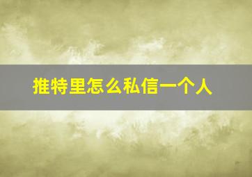 推特里怎么私信一个人