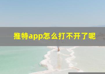 推特app怎么打不开了呢