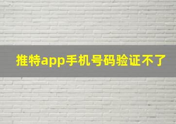 推特app手机号码验证不了