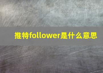 推特follower是什么意思