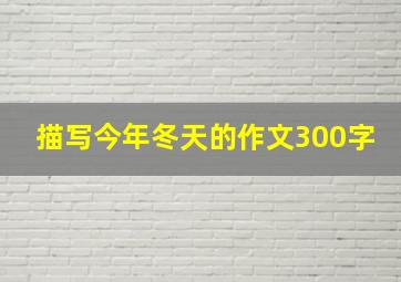 描写今年冬天的作文300字