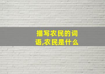 描写农民的词语,农民是什么