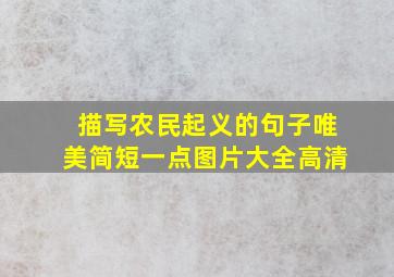 描写农民起义的句子唯美简短一点图片大全高清