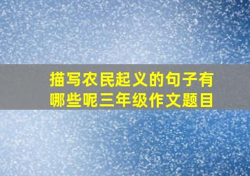 描写农民起义的句子有哪些呢三年级作文题目