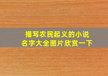 描写农民起义的小说名字大全图片欣赏一下