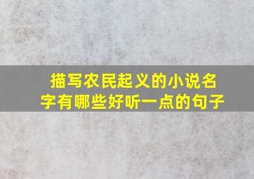 描写农民起义的小说名字有哪些好听一点的句子