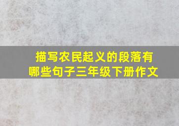 描写农民起义的段落有哪些句子三年级下册作文