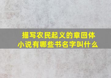 描写农民起义的章回体小说有哪些书名字叫什么