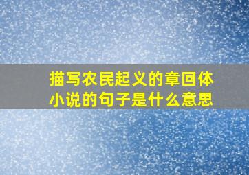 描写农民起义的章回体小说的句子是什么意思