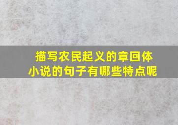 描写农民起义的章回体小说的句子有哪些特点呢