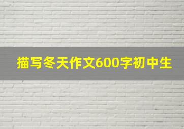 描写冬天作文600字初中生