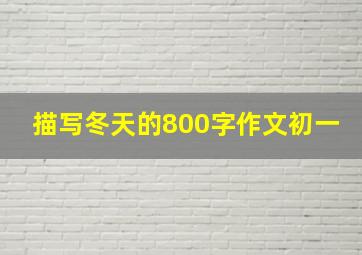 描写冬天的800字作文初一