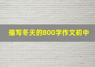 描写冬天的800字作文初中