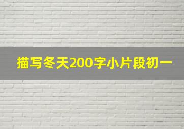 描写冬天200字小片段初一